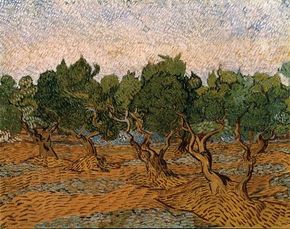 Olive Grove by Vincent van Gogh, can be seen in Amsterdam's Van Gogh Museum.