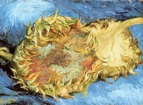 Vincent van Gogh's Two Cut Sunflowers is an  (17 x 24 inches) that is housed in  in New York. See more pictures of van Gogh's paintings.