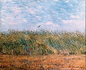 Vincent van Gogh's Wheatfield with a Lark is an oil on canvas (21-1/4 x 25-3/4 inches) that is housed in the Van Gogh Museum in Amsterdam.