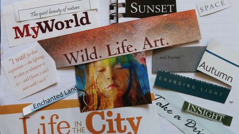 Can a Vision Board Really Affect Your Future? - Vimarsana News