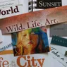 Can a Vision Board Really Affect Your Future?