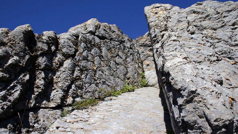 stromatolites and stromatolite