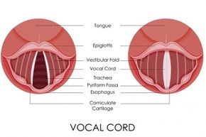 Chaotic vocal cord flapping sounds painful, but don't fret.