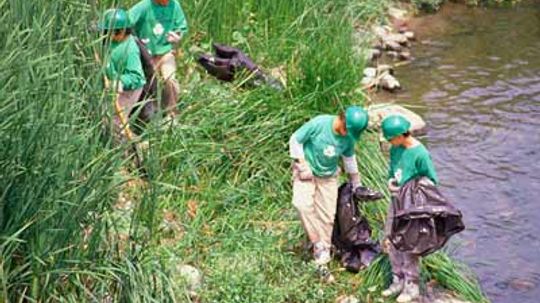 How to Volunteer to Help the Environment
