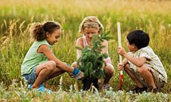 Kids planting trees. 