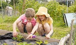 Kids planting garden. 