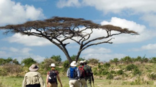 How to Volunteer at a National Park