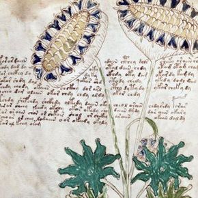 Will we ever unravel the true meaning of the Voynich manuscript? Do we really want to?