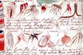 The writing and illustrations of the Voynich manuscript have never been identified.