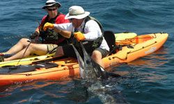谁需要一艘船当你可以卷在一个安全和舒适的马林kayak吗?”border=