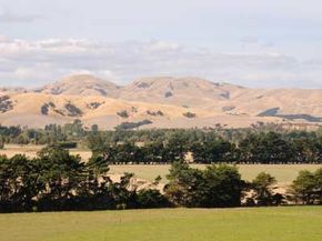 Wairarapa, North Island, New Zealand.