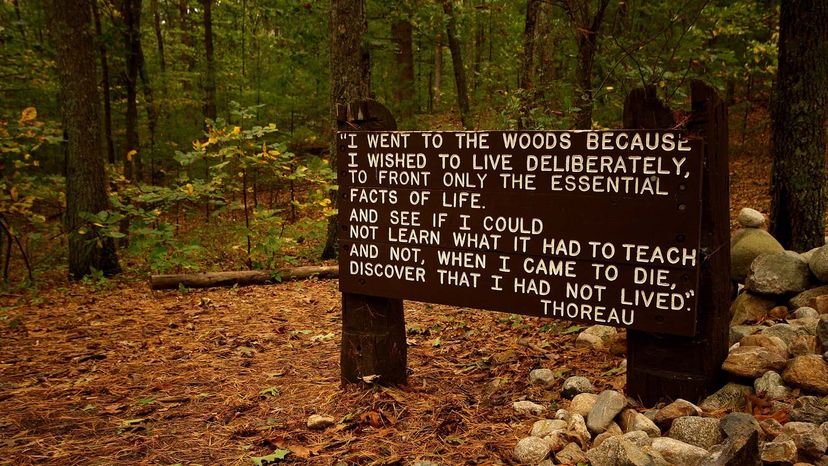 Cabin on Walden Pond Sign