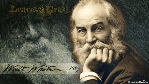 How 'America's Poet' Walt Whitman Can Both Appeal and Appall - Vimarsana News