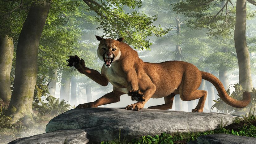 An illustration of a six-legged mountain lion snarling