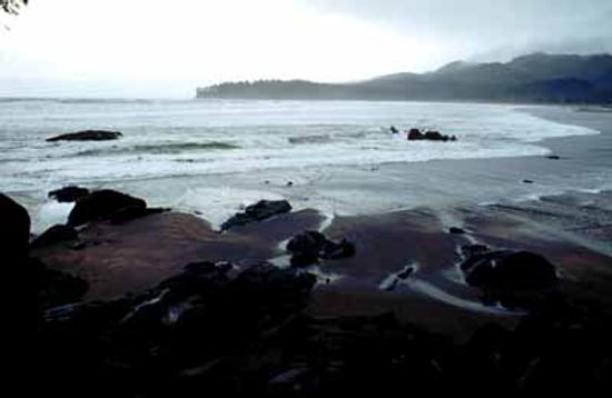 华盛顿风景驱动器”class=