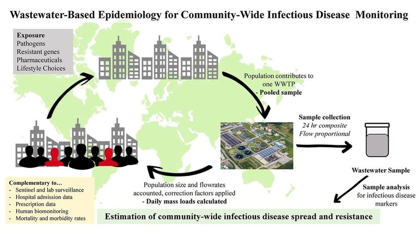 Wastewater epidemiology graphic