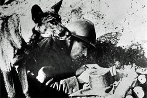 1939: A French officer scribbles a message while a dog stands by ready to deliver it. The dogs acted as couriers to scattered posts in the French zone.