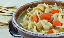 chicken noodle soup