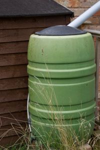 A rain barrel set up to collect water from a roof.
