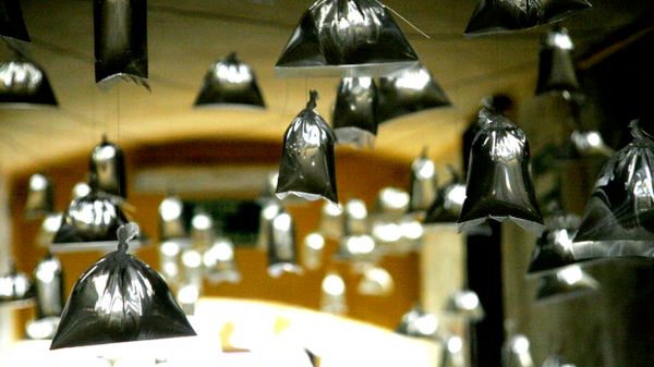 Bags of water hanging in restaurant