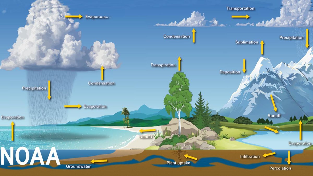 Here's How the Climate Crisis Is Impacting the Water Cycle ...