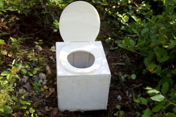 Small white toilet sits amongst the foliage.