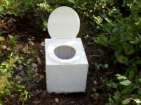 Small white toilet sits amongst the foliage.