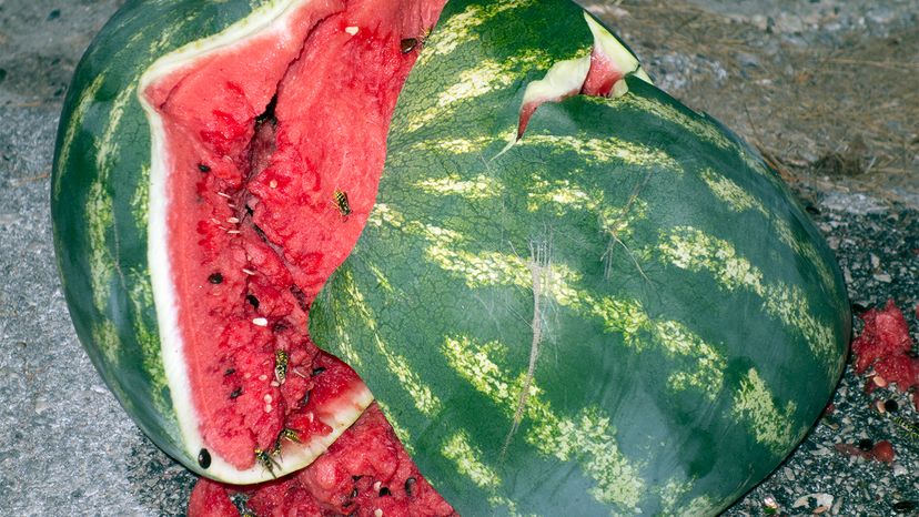 Exploding watermelon