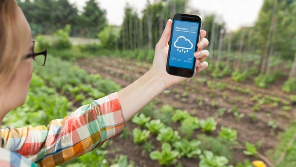 woman with weather app