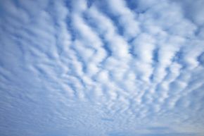 Nothing but mackerel skies!