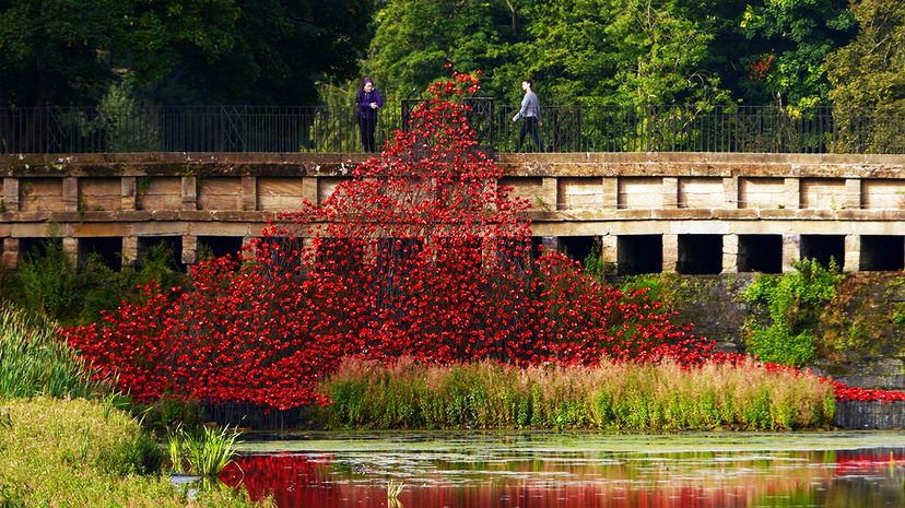 poppy sculpture Yorkshire Sculpture Park