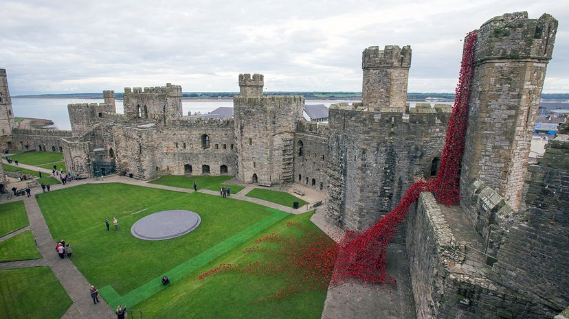 poppy sculpture Caernarfon Castle