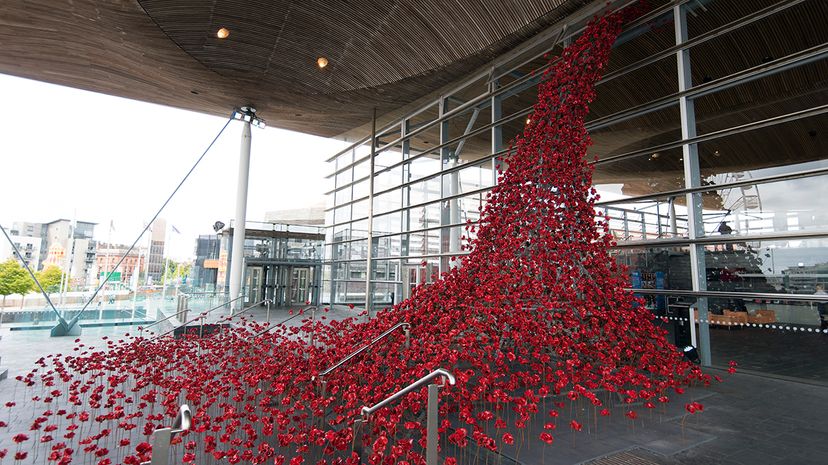 poppy sculpture Cardiff Bay