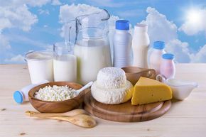 Eating lots of dairy has no effect on body fat, studies show.