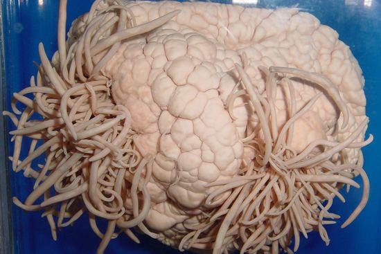 10 Weirdest Museums You Really Should Visit