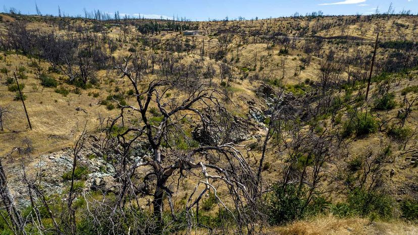 burn scar from the Carr Fire