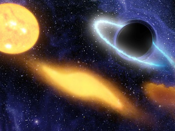 Supermassive black hole dining on a star