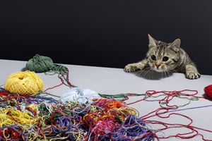 String theorist in action! 