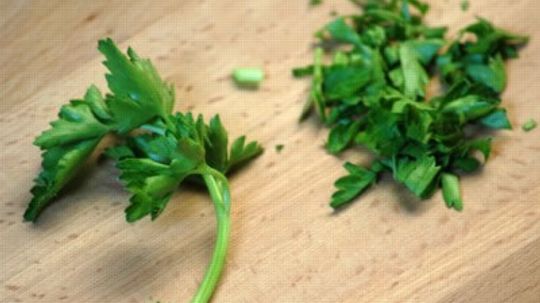 What is Parsley?