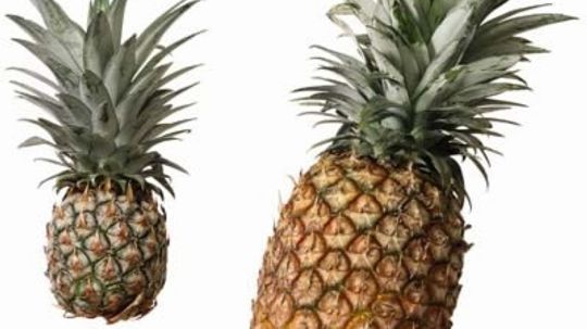 What Makes a Good Pineapple?