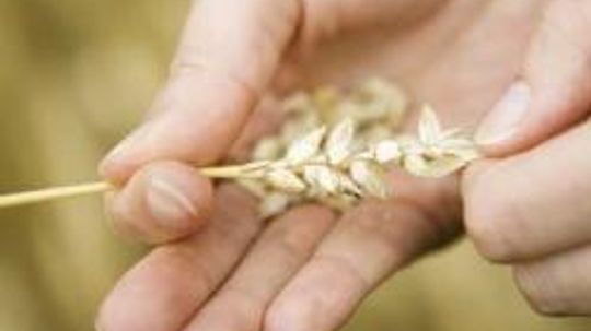 Health Benefits of Grains