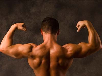Muscular man flexing back, arm, and shoulder.