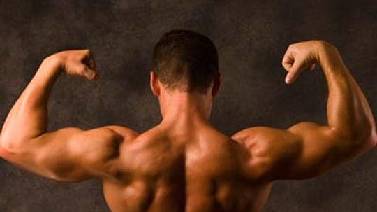How Whey Protein Works Howstuffworks