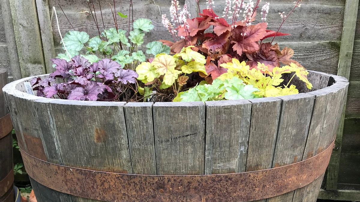 Half barrel clearance planter