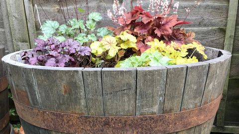 From Planters to Wall Art: 7 Cool Uses for Wooden Whiskey Barrels - Vimarsana News
