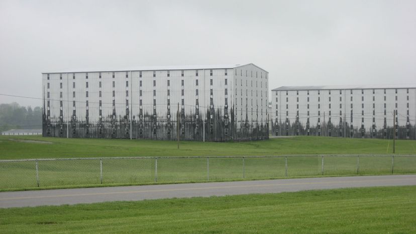 Whiskey fungus grows up the outside walls of the Heaven Hill distillery in Bardstown, Kentucky. Wikimedia Commons (CC BY SA 3.0)