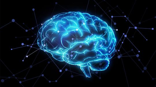 How White Matter Helps the Brain's Gray Matter Function