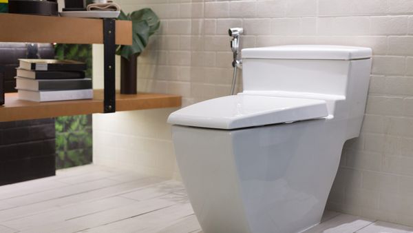 How To Unclog A Toilet With Poop In It? (13 Effective Ways)