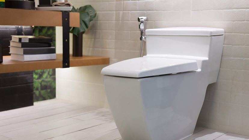 modern flush toilet