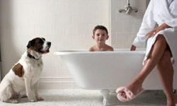 Mother sitting on side of tub with son (6-8) in bath tub and with dog